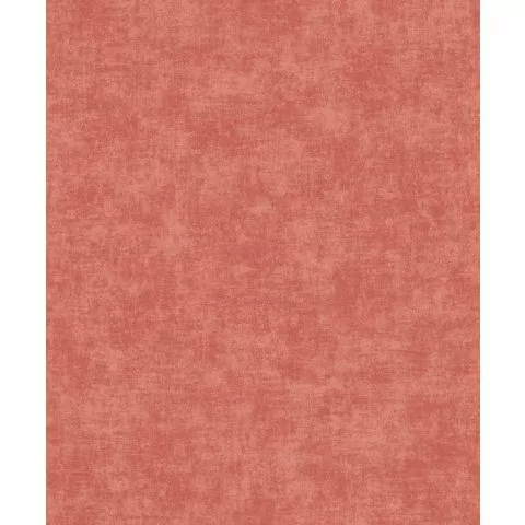 Papel De Parede Ciara A53713