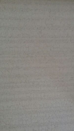 al1003-1__67980.jpg Papel de Parede Alpha AL1003-1