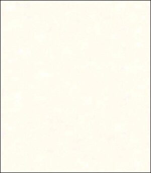 11162206__47302.jpg Papel de Parede Enjoy 11162206