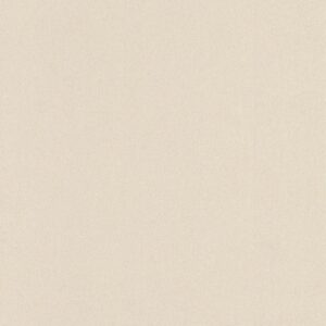 23110117__36695.jpg Papel de Parede Infantil Les Aventures 3 23110117 Liso com brilho Tom de Bege