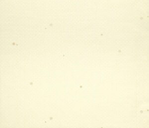 Papel de Parede Infantil Fairland 280202