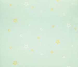 Papel de Parede Infantil Fairland 280704