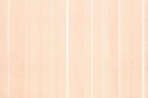 Papel de Parede Infantil Fairland 281001