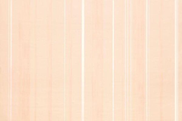 Papel de Parede Infantil Fairland 281001