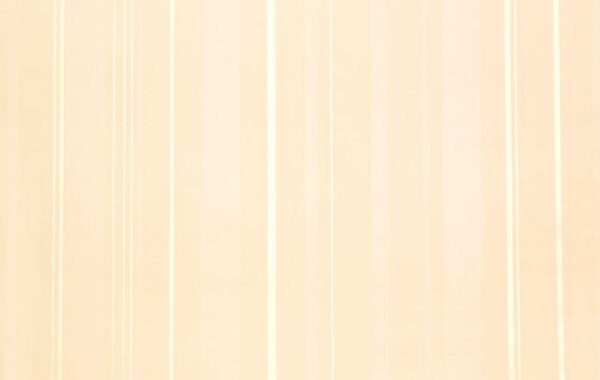 Papel de Parede Infantil Fairland 281002