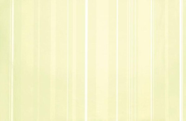 Papel de Parede Infantil Fairland 281003