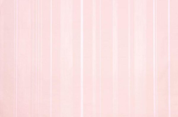 Papel de Parede Infantil Fairland 281005