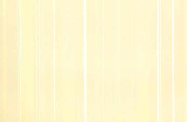 Papel de Parede Infantil Fairland 281007