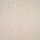 40320__80070.jpg Papel de Parede Magica 40320