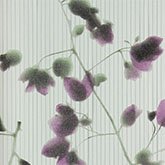 41362__68865.jpg Papel de Parede Italiana Vera 41362