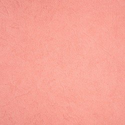 51009__58028.jpg Papel de Parede Fleurs 51009
