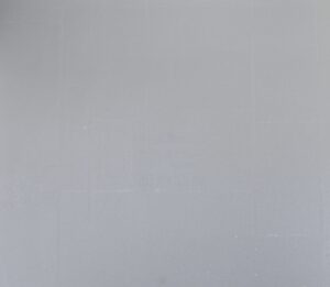 660502.jpg Papel de Parede Flower Ocean 660502