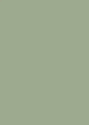 81529.png Papel De Parede Botânica 81529