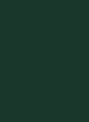 81598.png Papel De Parede Botânica 81598