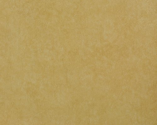 Papel de Parede Fashion Wall CA41504