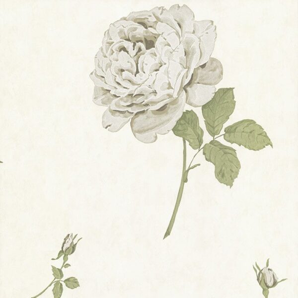 Papel de Parede Elizabeth Ockford EO00143