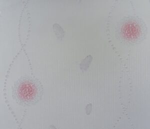 JD5-760401.jpg Papel de Parede Flower Ocean JD5-7603401
