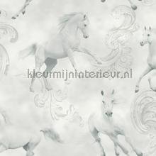 X-667300.jpg Papel de Parede Infantil Imagine Fun 1 667300