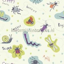 X-667601.jpg Papel de Parede Infantil Imagine Fun 1 667601