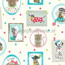 X-668400.jpg Papel de Parede Infantil Imagine Fun 1 668401