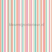 X-668800.jpg Papel de Parede Infantil Imagine Fun 1 668800