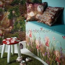 X-696301.jpg Papel de Parede Infantil Imagine Fun 2 696301