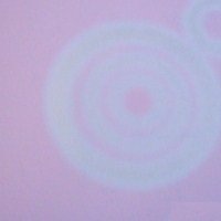 b5_0103__39270.jpg Papel de Parede Happy Time B5-0103