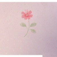 b5_0403__57638.jpg Papel de Parede Happy Time B5-0403