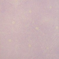 b5_0806__14940.jpg Papel de Parede Happy Time B5-0806
