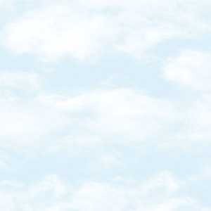 g56533__66691.jpg Papel de Parede Just 4 Kids 2 G56533